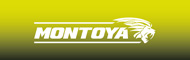 Simoniz